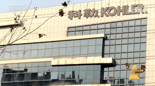 315曝光警示 商品批發(fā)貿易暗藏貓膩，消費者與企業(yè)需共同警惕